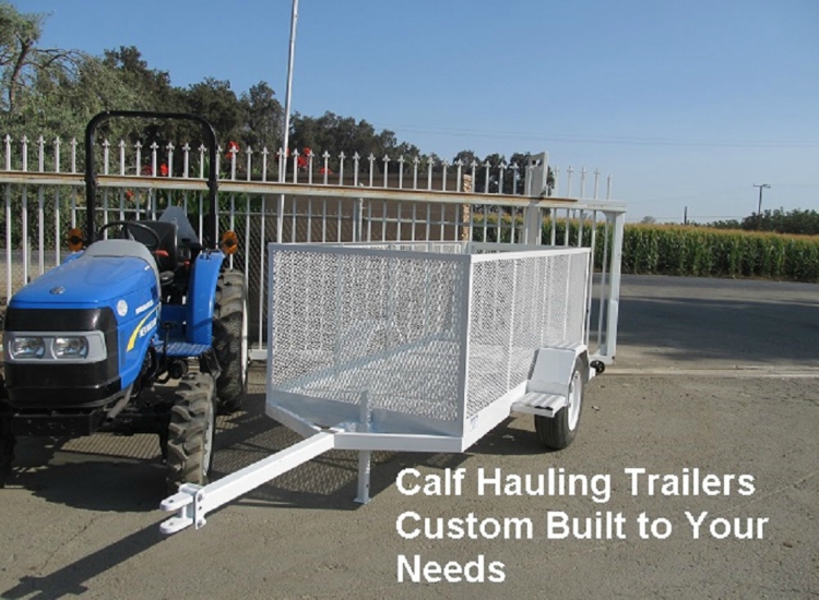 Calf Transportation services tulare