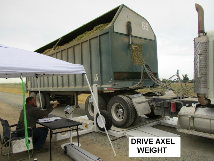 Portable Platform Scales Simple / Portable / Easy services tulare