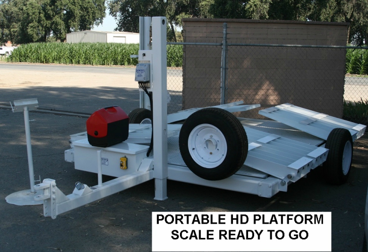 Portable Platform Scales Simple / Portable / Easy services tulare